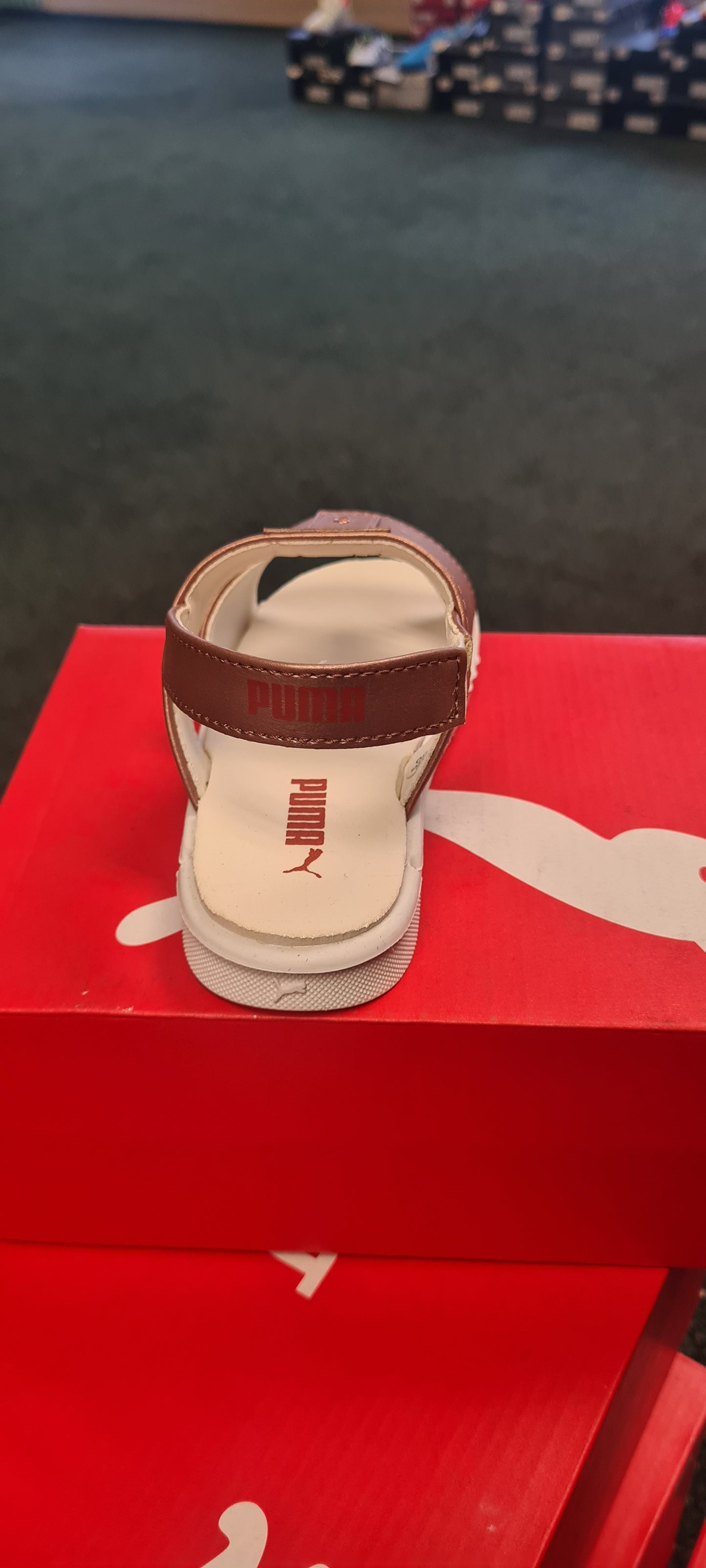 Dazzle INF NU ZADP P8046