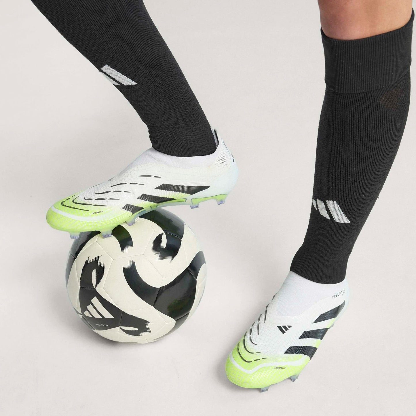 Predator Elite LL FG (A212)