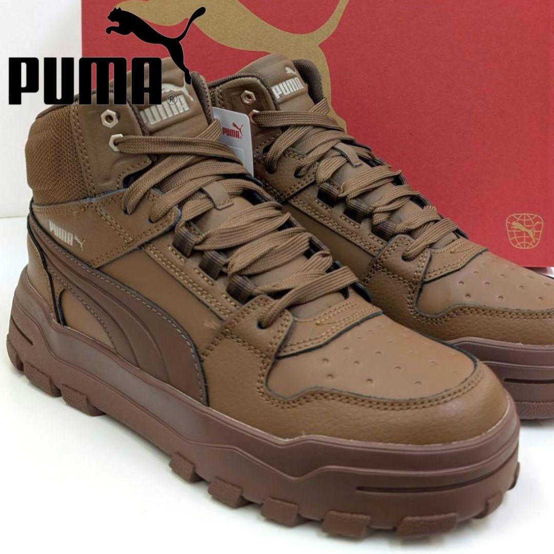 Rebound Abrupt (P9193)