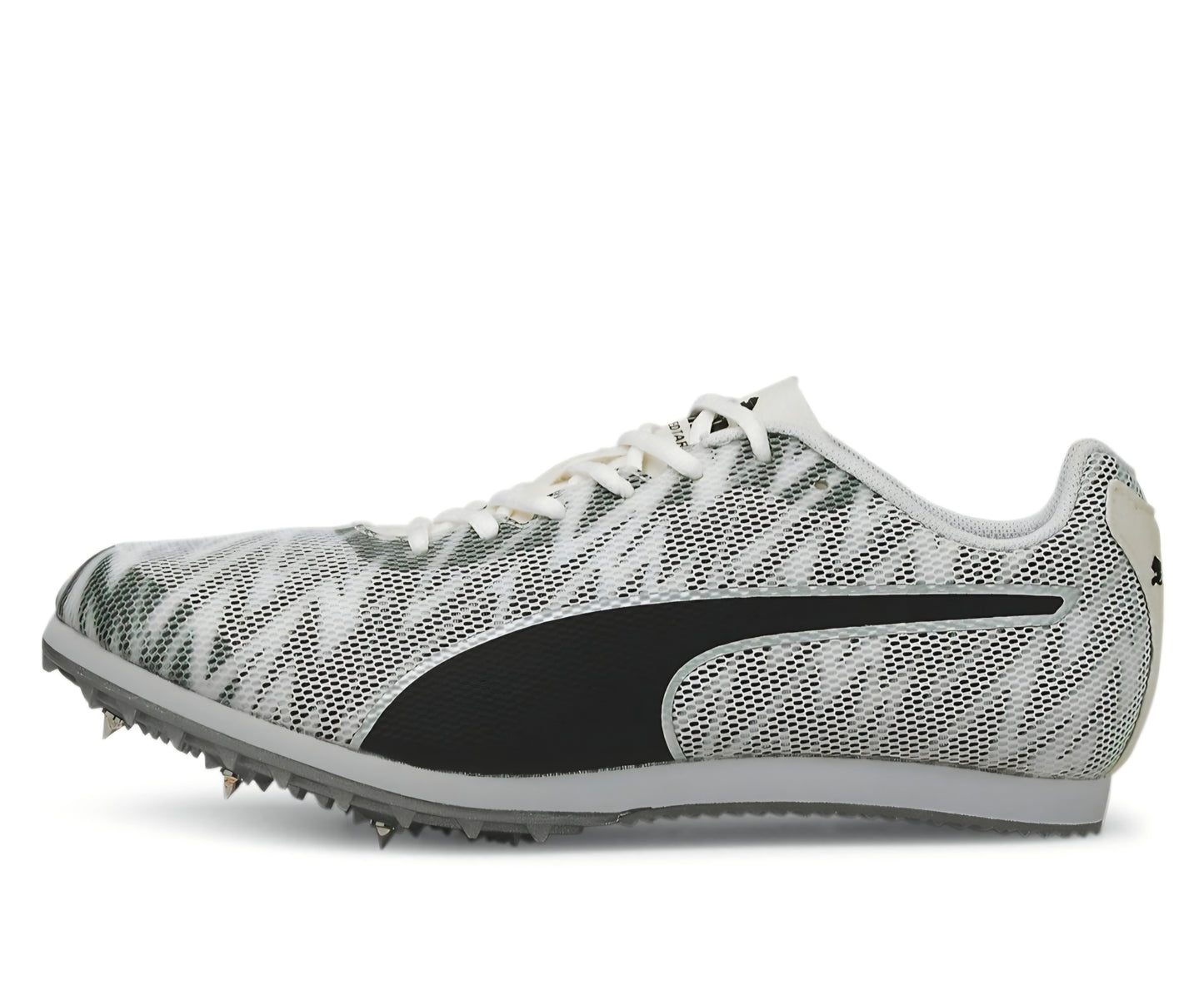 eveSPEED Star 7 Junior (P5793)