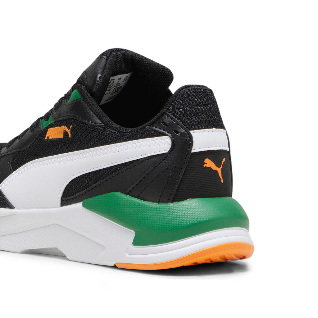 Puma X-ray(p8070l
