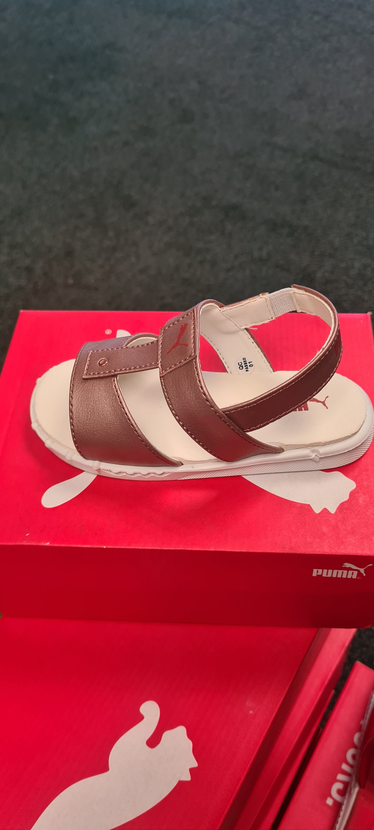 Dazzle INF NU ZADP P8046