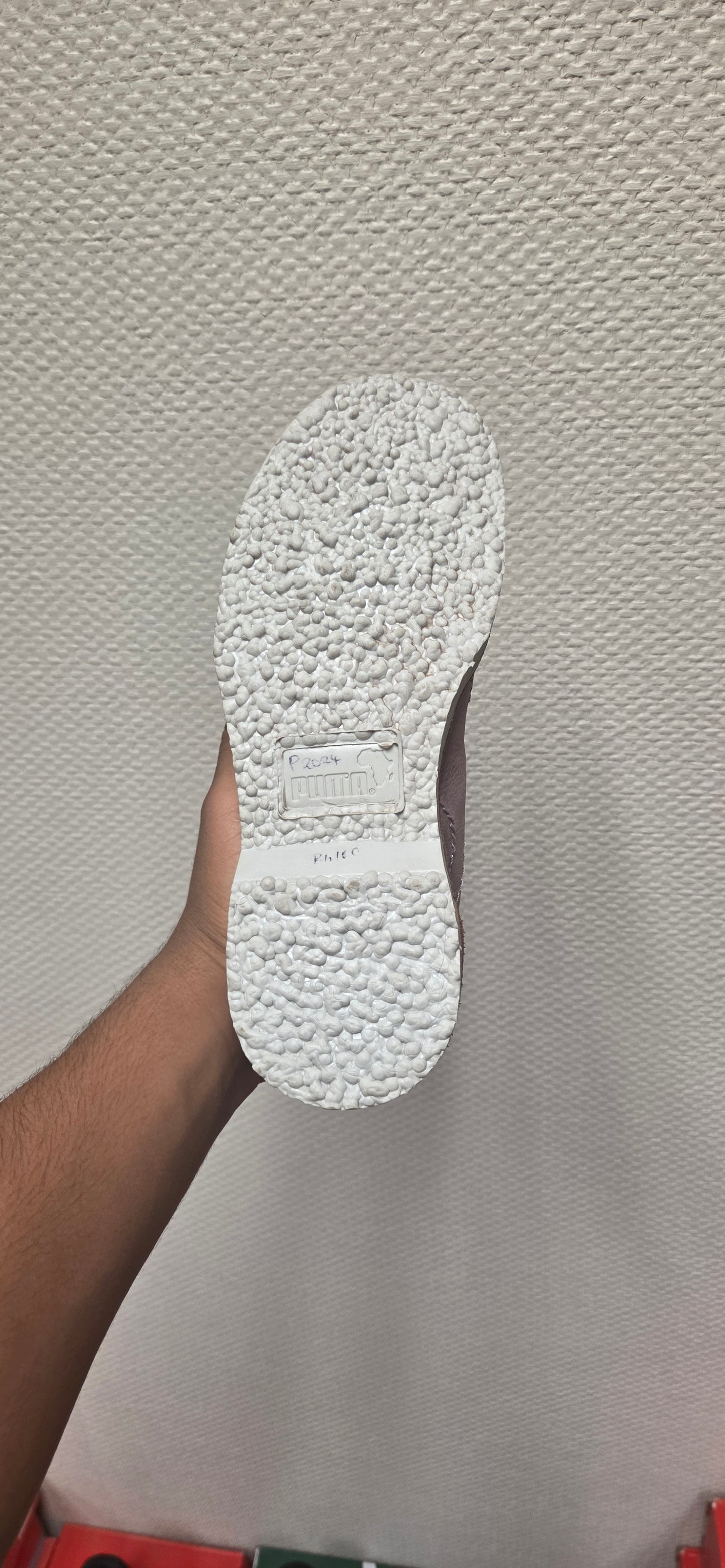 PUMA TERRAE MID(P2024)