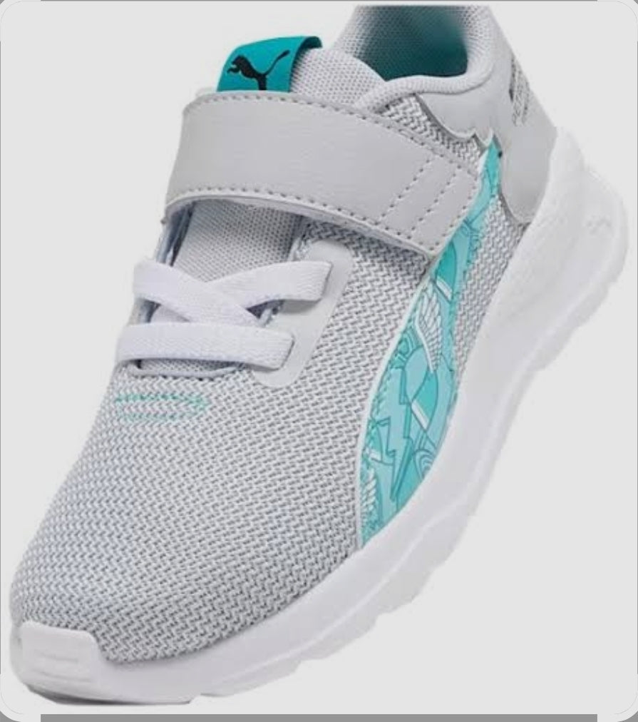 Puma MAPF1 (P6039)