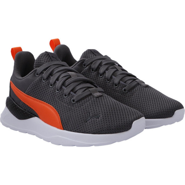 Anzarun Lite Jr (p5979)