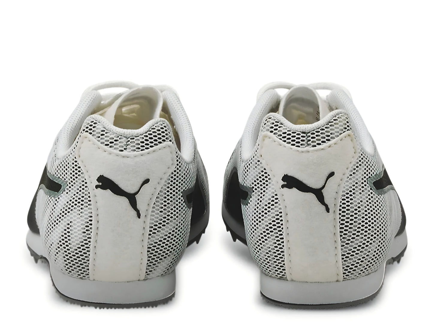 eveSPEED Star 7 Junior (P5793)