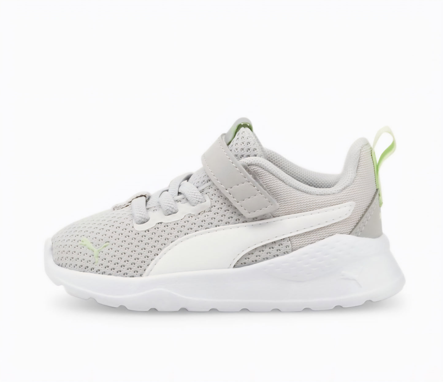 Anzarun Lite 1(P5447)