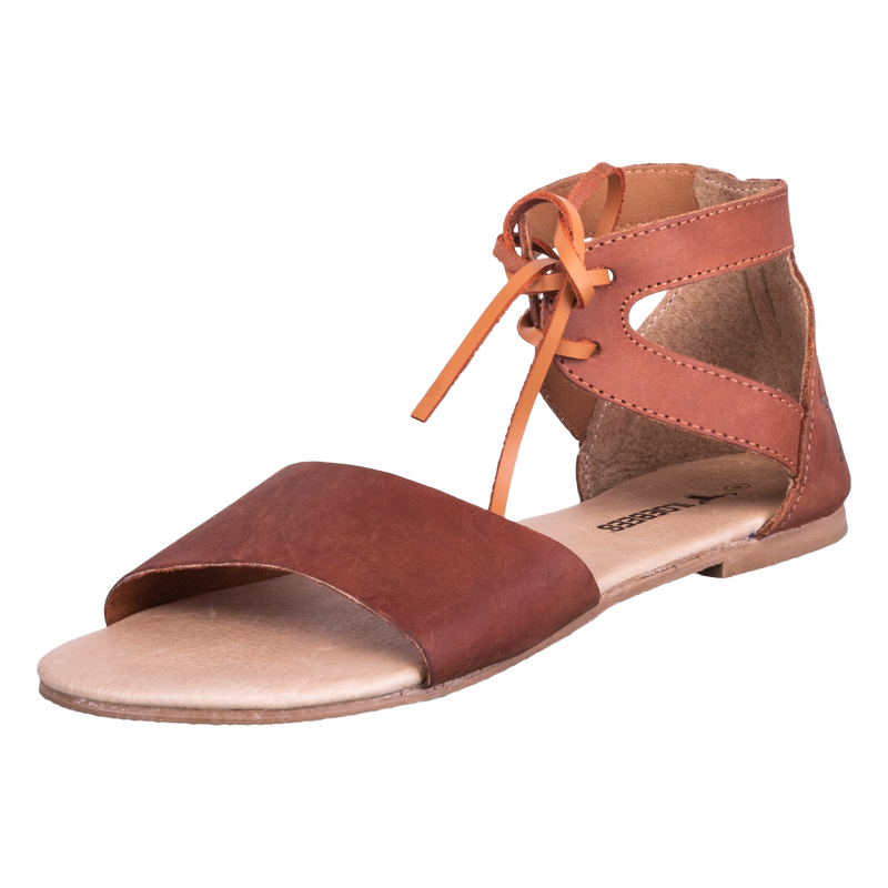 Wildebess swaeltjie W19