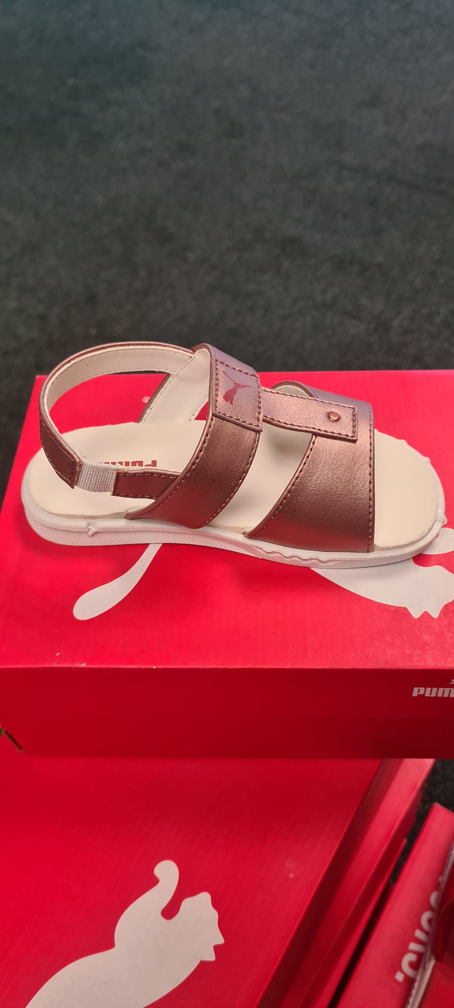 Dazzle INF NU ZADP P8046