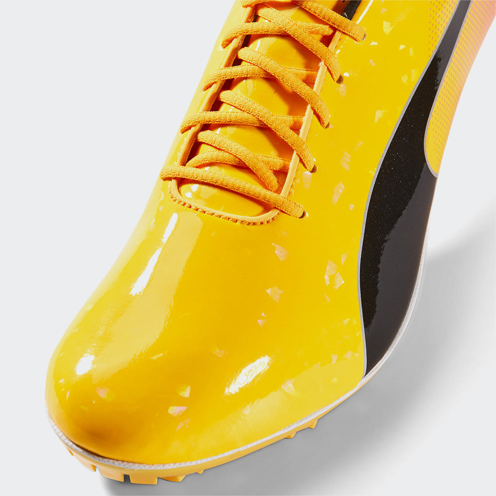 evoSPEED sprint 14 P5795