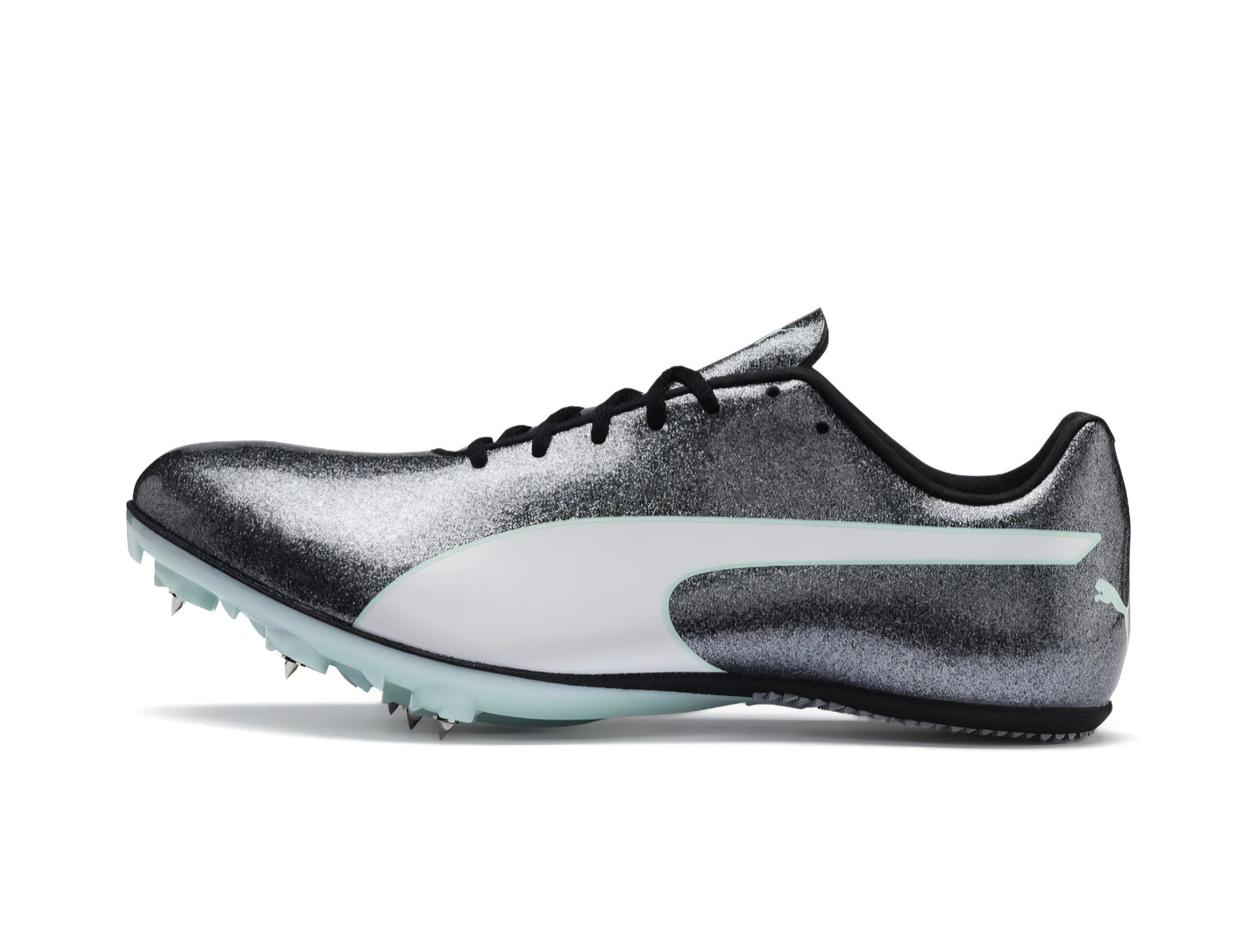 eveSPEED Sprint 9 Wn (P1923)