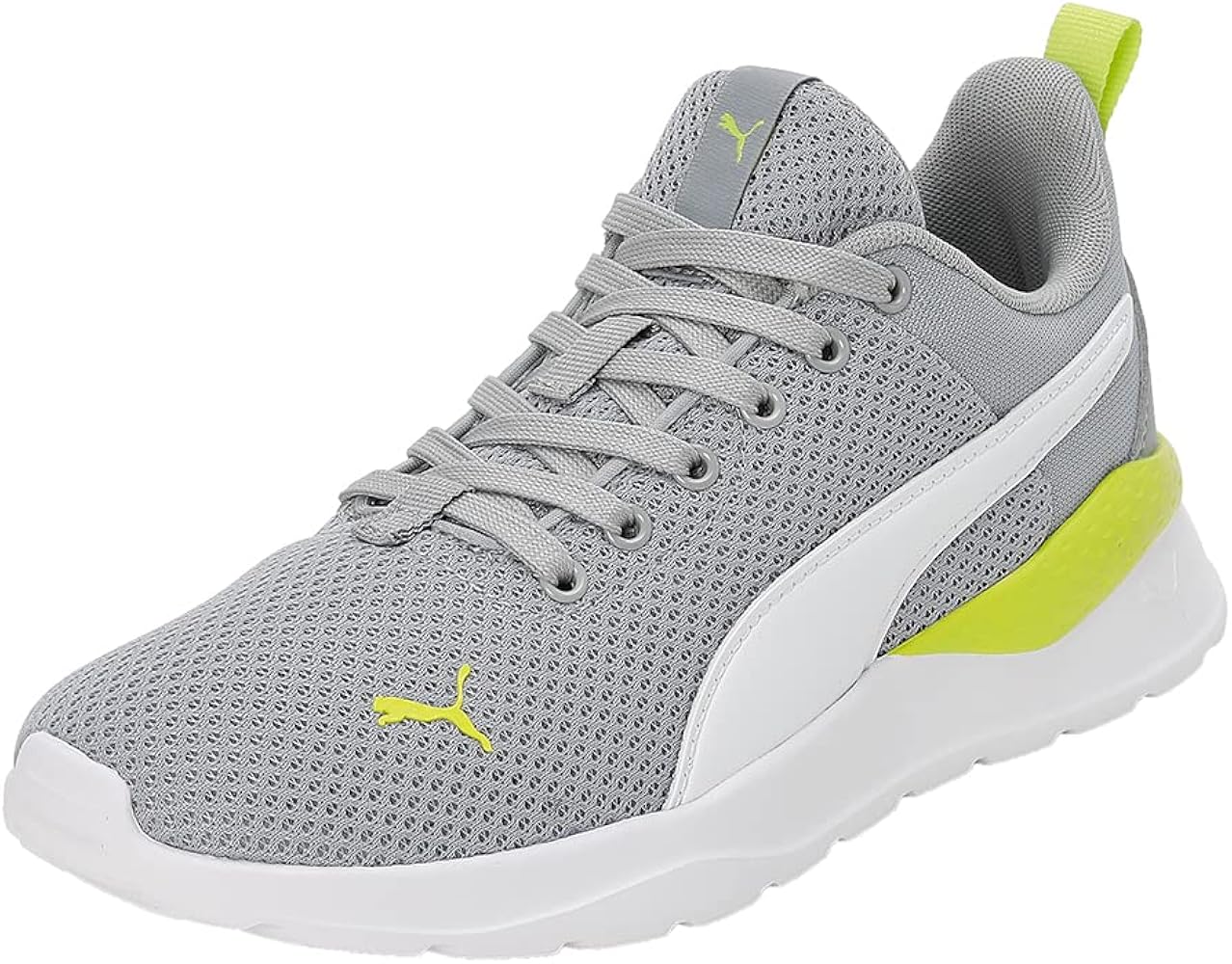 Anzarun Lite Jr (p5889)