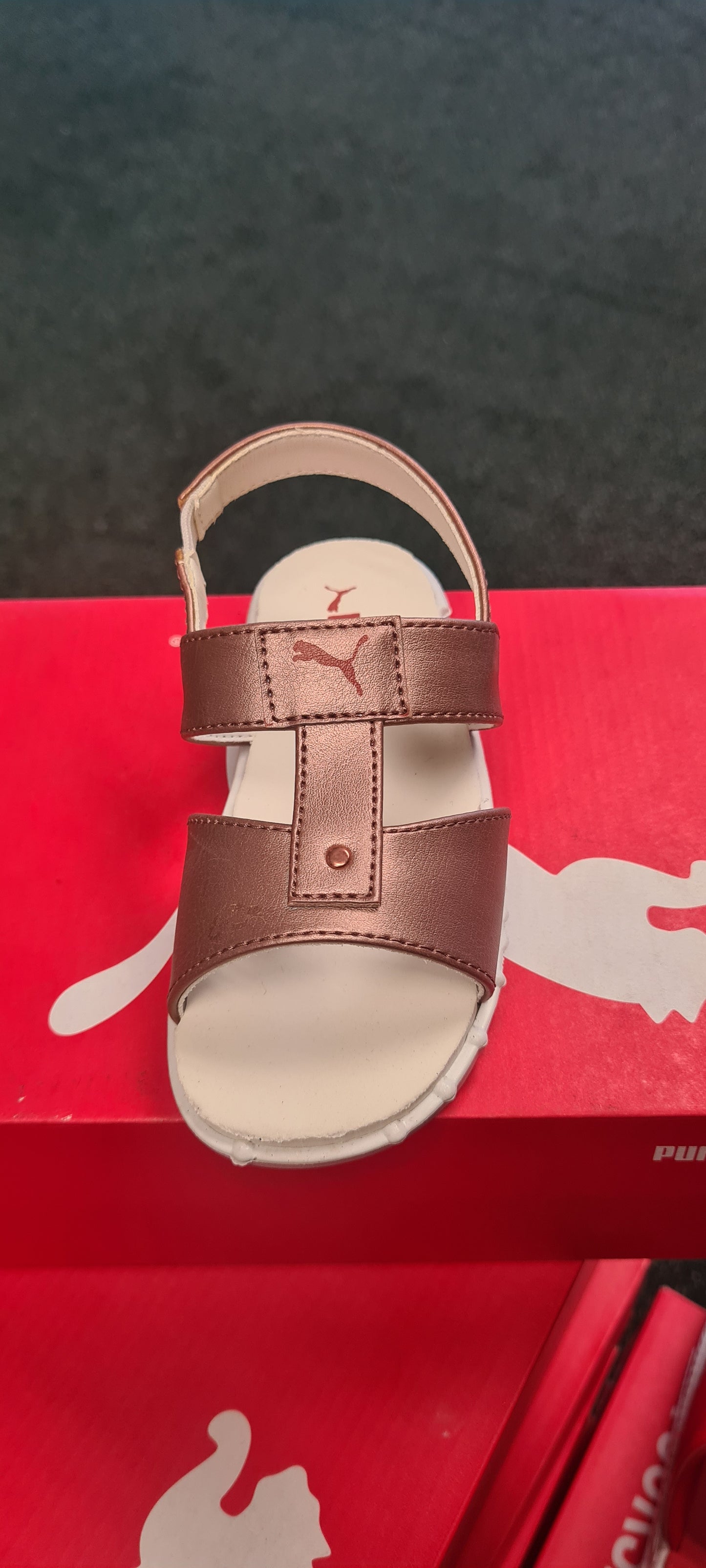 Dazzle INF NU ZADP P8046