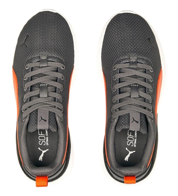 Anzarun Lite Jr (p5979)