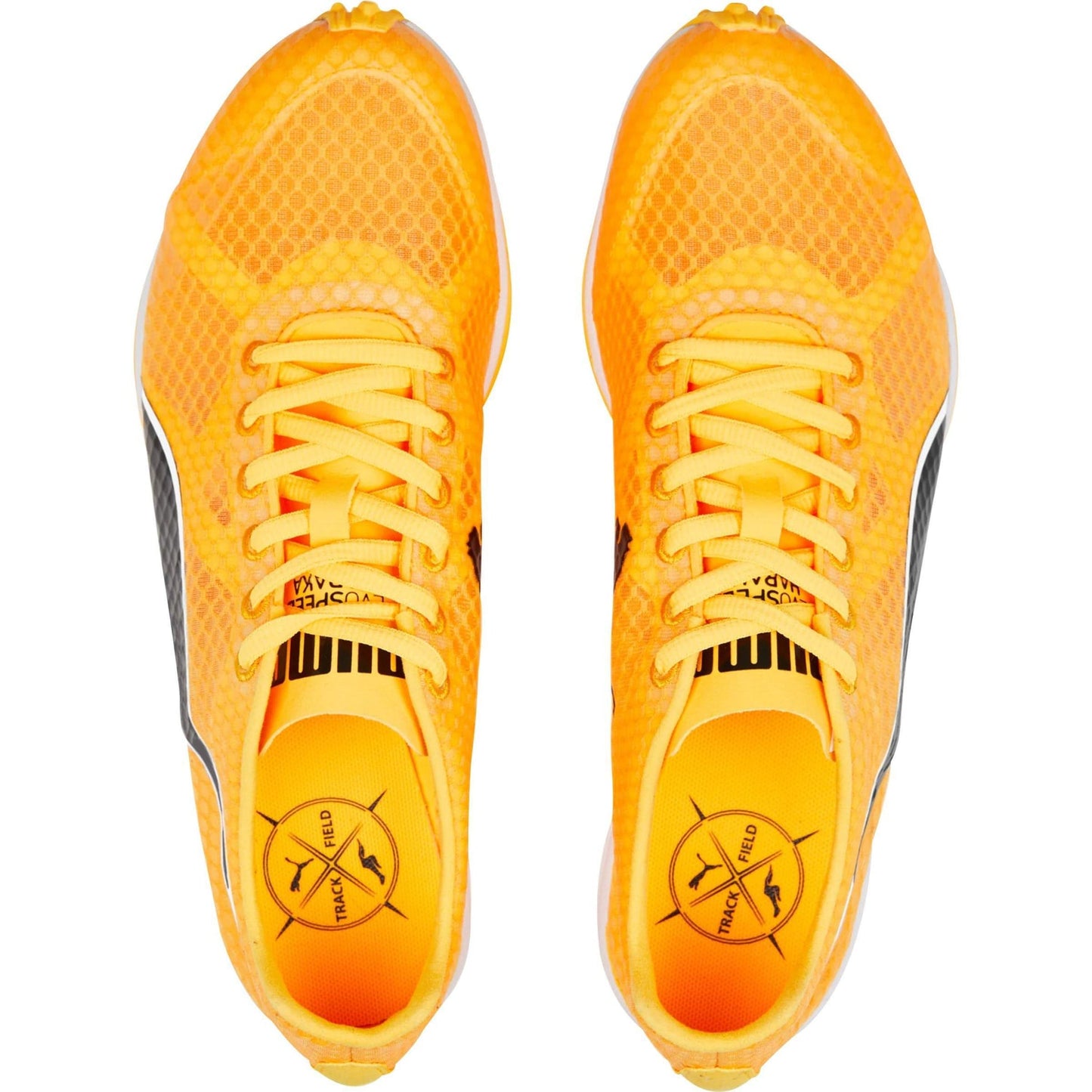 eveSPEED Haraka 7 unisex (P6001)