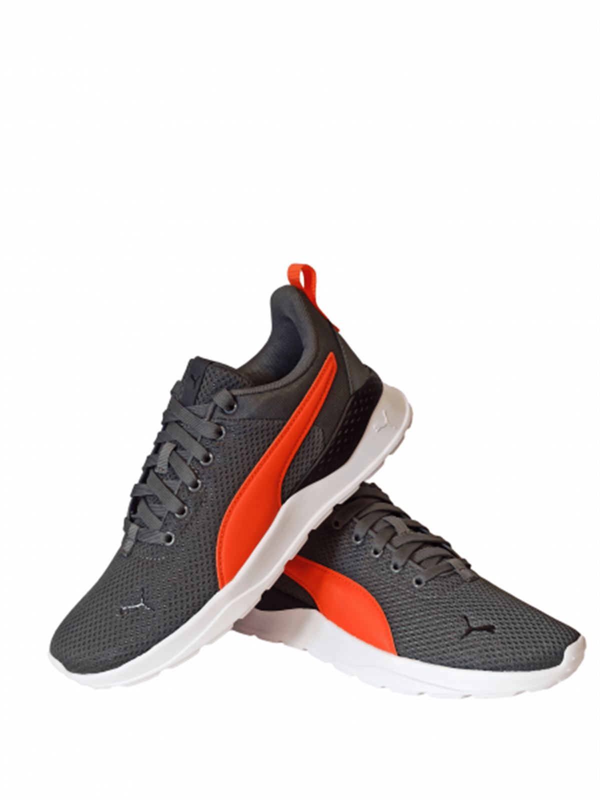 Anzarun Lite Jr (p5979)