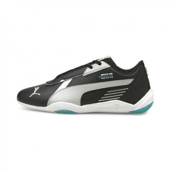 Puma map F1(P5211)