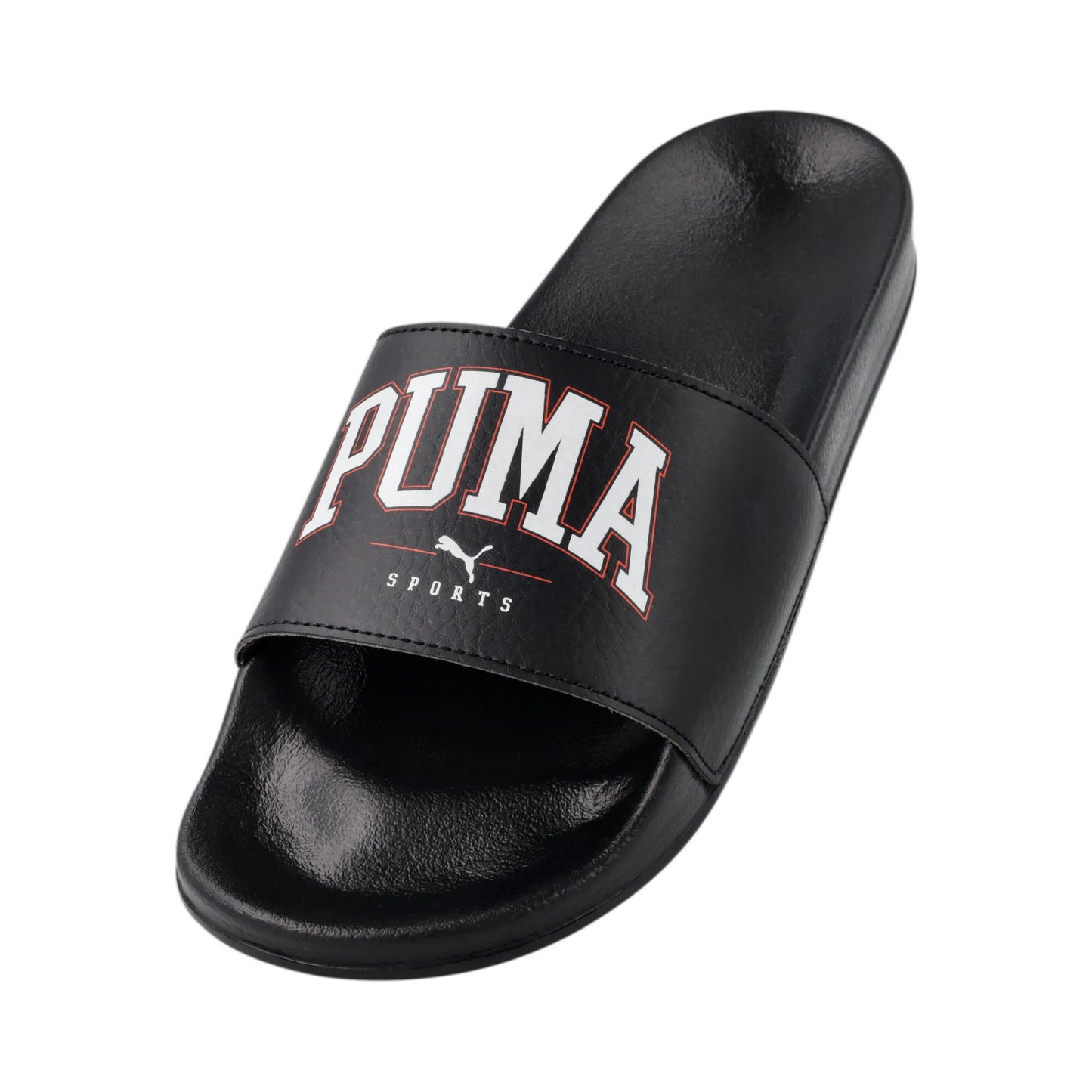 Poolcat SW slide ZADP