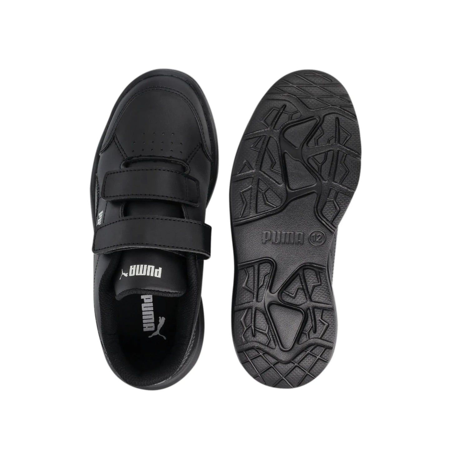 Evolve Court V PS ZADP  P9374