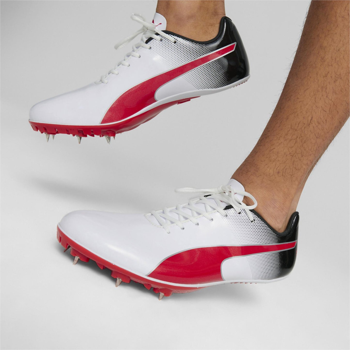 eveSPEED Sprint 14 (P5998)