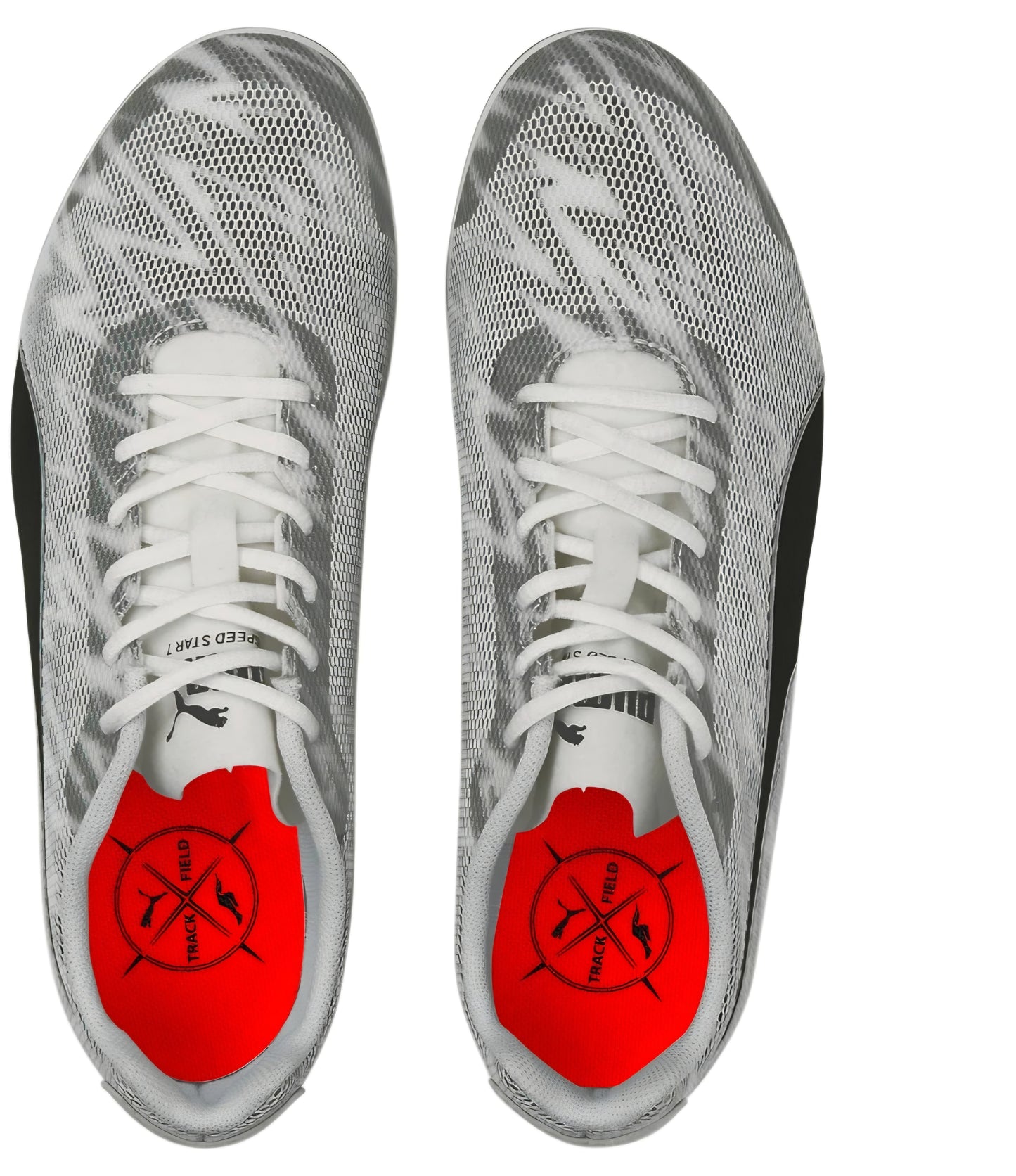 eveSPEED Star 7 Junior (P5793)