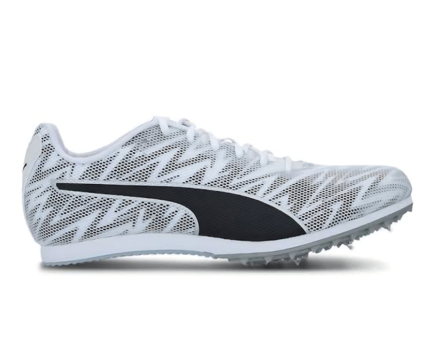 eveSPEED Star 7 Junior (P5793)