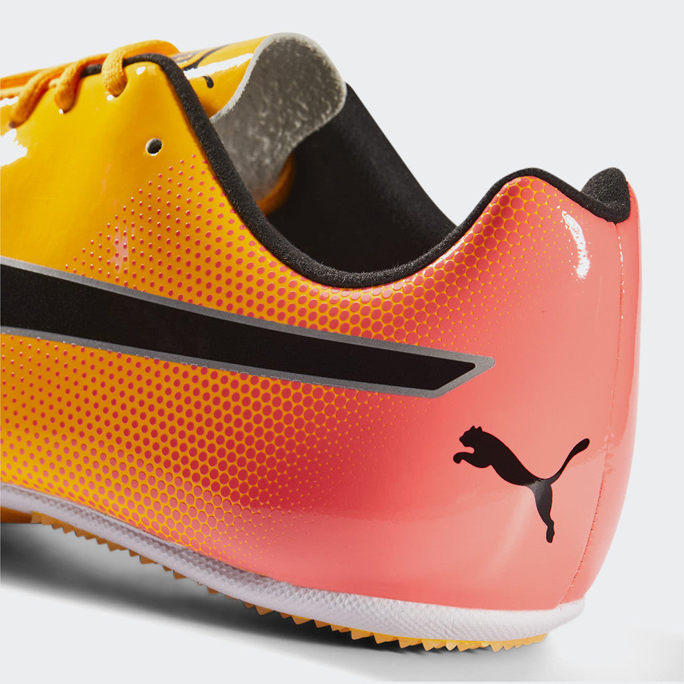 evoSPEED sprint 14 P5795