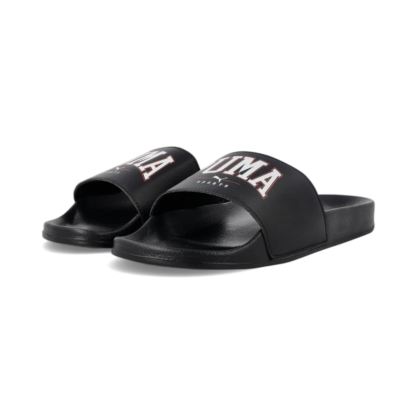 Poolcat SW slide ZADP