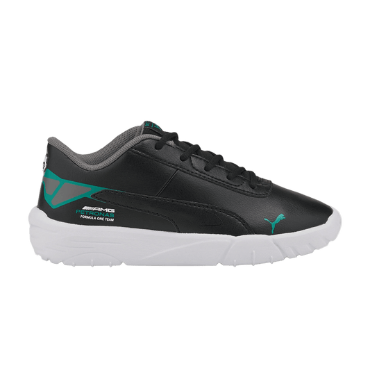 MAPF1 Drift Cat (p5432)